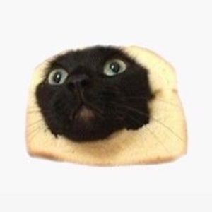 Meet your Posher, Sylvia